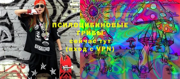 ГАЛЛЮЦИНОГЕННЫЕ ГРИБЫ Абдулино