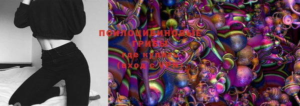 ГАЛЛЮЦИНОГЕННЫЕ ГРИБЫ Абдулино