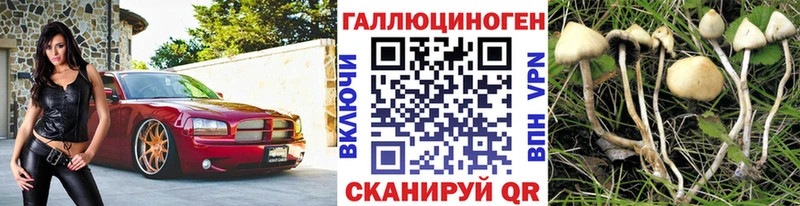 Галлюциногенные грибы мухоморы  Тарко-Сале 